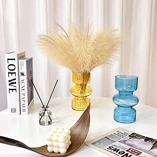 Bloflo Orange Transparent Glass Hydroponic Vase, 7Inches Colored Glass Vase For Flower, Three-Layer Glass Floral Vase For Décor, Modern Geometric Glass Vase For Home Office Wedding Table(Orange) #TOP6