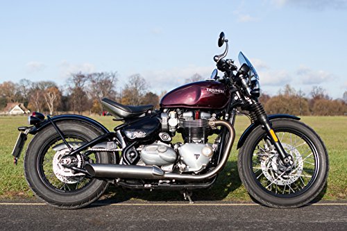 Dart Classic Flyscreen (Crystal Clear) parabrezza