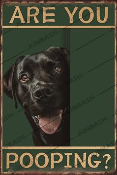 Bathroom Decor Vintage Are You Pooping Metal Sign Labrador Decor Funny Labrador Retriever Gifts For Toilet Bathroom 8x12 Inch