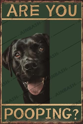 Letrero de metal vintage de labrador retriever Are You Pooping, decoración de baño, decoración de laboratorio negro, regalos para los amantes de los labradores, inodoro, baño, 12 x 16 pulgadas Letrero de metal vintage de labrador retriever Are You Pooping, decoración de baño, decoración de laboratorio negro, regalos para los amantes de los labradores, inodoro, baño, 12 x 16 pulgadas