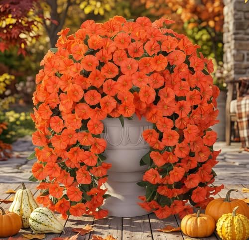 HyeFlora Artificial Fake Hanging Flowers Plants for Outdoor Outside Spring Decor, 2PCS Faux Silk Orange Morning Glory Trailing Vines UV Resistant Look Real for Home Planter Porch Patio