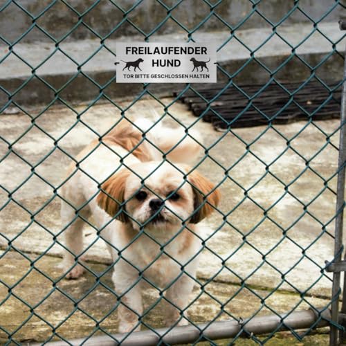 Hinweisschild Freilaufender Hund Tor bitte geschlossen halten 20x8 cm Vorsicht Hund