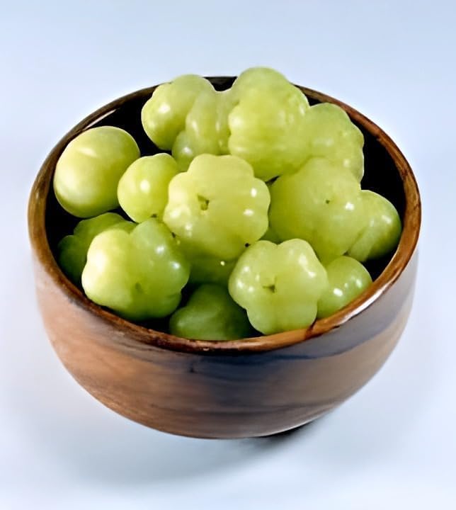 Image of inchGarden Star Gooseberry inch Live Plant (Tropical Fruit, 1-2 Feet) Healthy Live Plant for Home Garden Plants tree Pack of 1