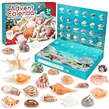 Advent Calendar 2025 for Kids - 24 Days Christmas Countdown Calendar with Seashells, Starfish and Conchs - Educational Toy Marine Science Gift Set for Children Girls Boys