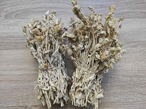 Té Salvaje Griego De Montaña Malotira Sideritis Syriaca 220g - 5KG Cosecha Junio 2022 (5 KG) - Imagen 6