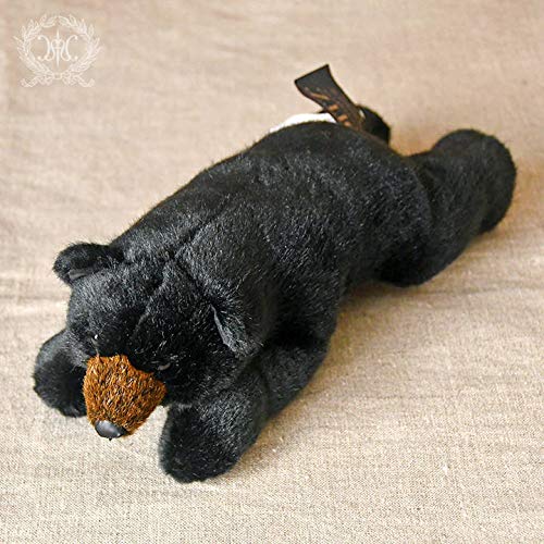 Amazon.co.jp: DITZ(ディッツ)ミニハグ/ブラックベア テディベア くま