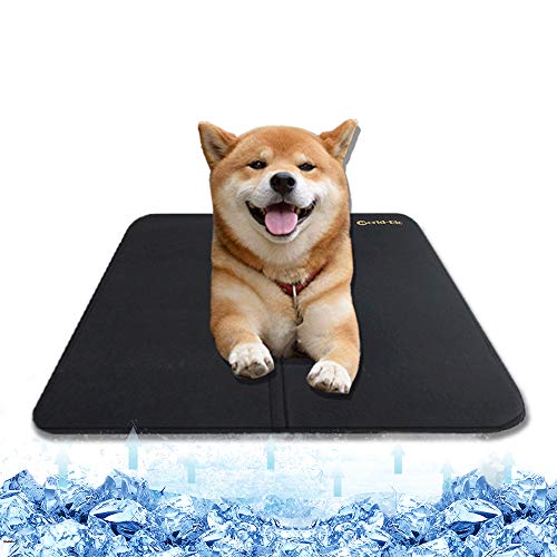 WORLD-BIO Colchoneta de refrigeración para Perros, colchón de frío Lavable para Cachorros, Cojines para Gatos para la Perrera, Cajas y Camas de Verano - 25,9'' x 22,4''