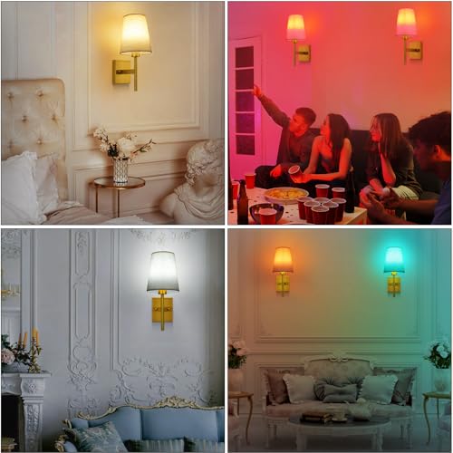 Home Page - Paul - Cosy Home Interiors