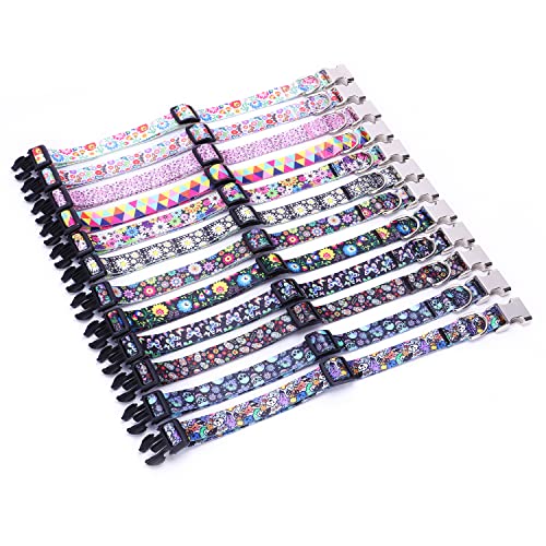 Collar de perro multicolor para paseos diarios con cachorros pequeños y medianos 6