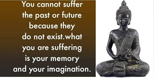 Bellaa Black Buddha Statue Enlightenment Meditation Dhyana Mudra Sitting Blessing Goodluck Happy Collectibles Figurines Sculpture Living Room Outdoor Garden Patio Lawn Farmhouse Boho Home Decor #TOP3