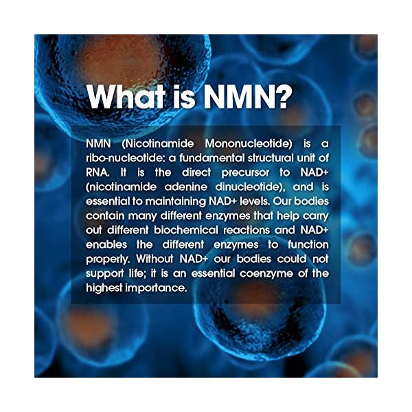 NAD-NMN-Supplement-Nicotinamide-Mononucleotide-Anti-Aging-Telomere-Capsules-NRF2-NADH-Activator-Supplements-for-Women-Men--Stem-Cell-Support-Longevity-and-Cellular-Energy--60-Veggie-Pills Genius Eternal, Anti-Aging Supplement - Telomere Capsules - NRF2 NADH Activator Supplements, Stem Cell Support for Longevity, Cellular Energy, Metabolism & Repair