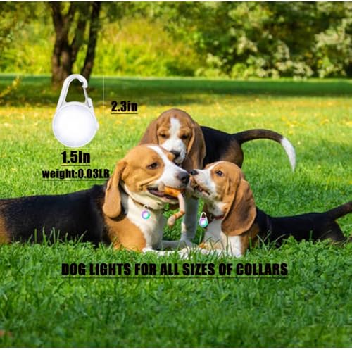 Smhddp 4 Modes Dog Lights 2Pack Led For Night Walking, Ip68 Waterproof Dog Light thumb #1