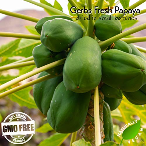 Gerbs Dried Papaya Cubes 2 Lbs. thumb #4