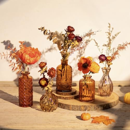 Image of Glasseam Small Vase Glass for Home: 5 Pcs Amber Bud Vases for Table Decor