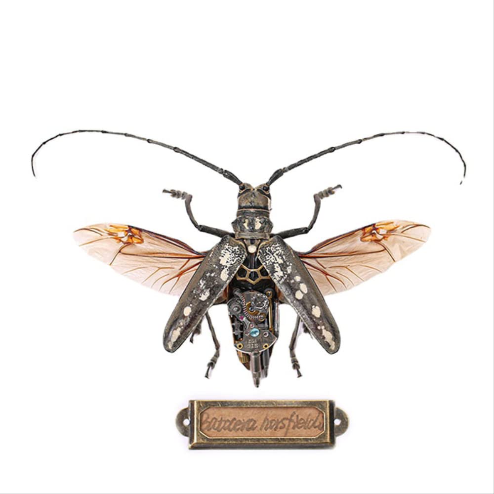 カミキリムシ標本 m78633234851_1.jpg?1724765262