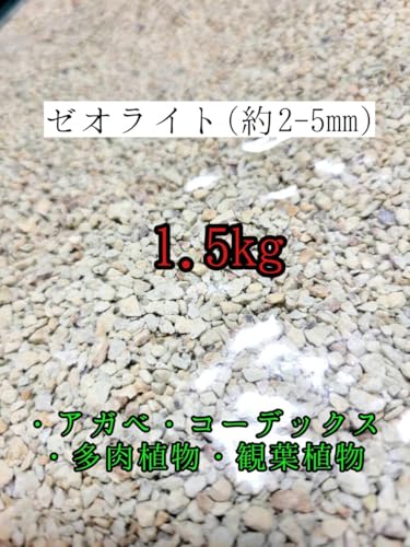 i[ICg1.5kg h~ y eE A T{e ϗtA A ANAE k͔| 