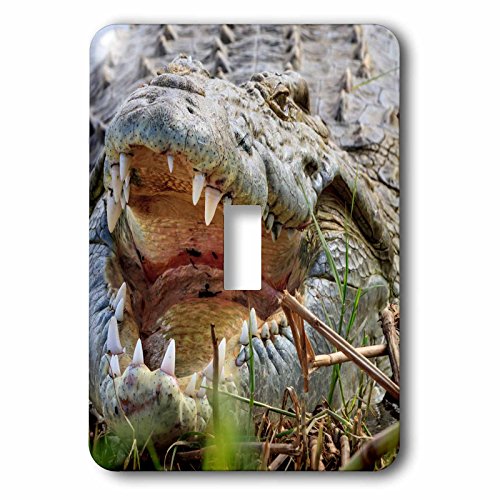 Interrupteur simple crocodile pour remplacer plaque murale blanche classique - 2