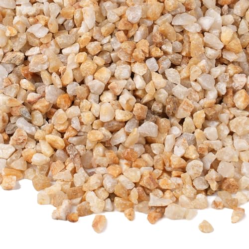 Image of 5 lbs Coarse Sand for Plants, 1 /5 Inch Horticultural Sand for Vases, Aquariums, Terrarium, Fish Tank, Drainage Rocks for Potted Plants, Bamboo, Succulent, Crafts, Cactus