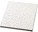 Armstrong World Industries BP769A Acoustical Ceiling Panel 769A Cortega Square Lay in (12 per Case), 24