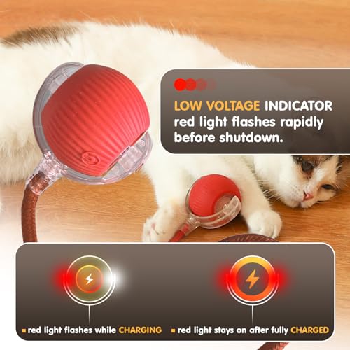 Rocfish Smart Automatic Cat Chase Ball (Rechargeable) — view 7