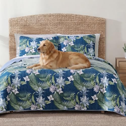 Image of Tommy Bahama - King Quilt Set with Shams, Cotton, Reversible