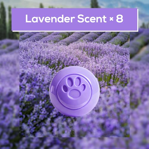 Image of SCENTORINI Shoe Deodorizer Balls, 8 Pack Lavender Scent Sneaker Deodorizer Balls, Odor Eliminator for Smell Shoes Boots, Long Lasting Shoe Freshener for Gym Bags, Drawers and Small Spaces