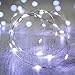 Lights4fun - Catena di Luci con 20 Micro LED Bianco Freddo a Pile su Cavo Metallico Argento