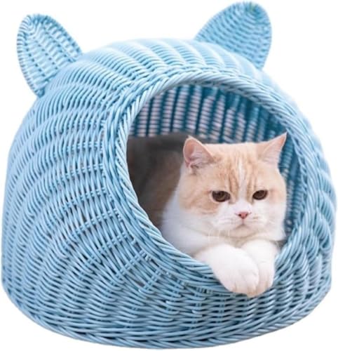 LbgnEX h[^LnEX Lxbh L L nEX   Lp LbgnEX LnEX xbh ^ې ٔLlGjo[TْʋC (C,S)