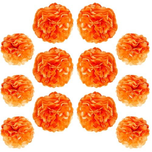 Ruidee Lot de 12 pompons en papier de soie à suspendre de 25,4 cm et 30,5 cm pour décoration de fête, mariage (ZH/orange)