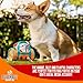 Pet Craft Supply Hide and Seek Plüsch-Hundespielzeug, knisternd, quietschend, interaktives Puzzle, Kauen, Apportieren, Leckerlis, verstecken, Gehirn, stimulierend, niedlich, lustiges Spielzeug-Set für