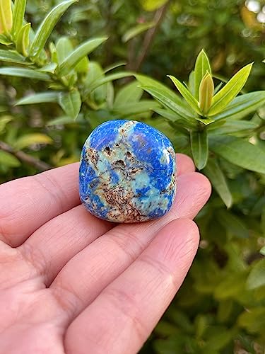 Image of GAF TREASURES 1 /2 LB Azurite Malachite Tumbled Stones, Polished Natural Azurite Malachite Gemstone, Azurite Malachite Healing Crystals (Azurite Malachite)