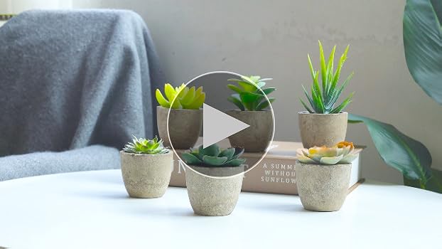 【美品】フェイクグリーン 観葉植物160cm 鉢植 楽天市場】観葉植物 フェイク 大型 フェイクグリーン フィカス