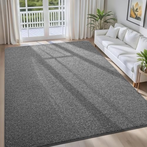 FALARK 4x6 Dark Grey Area Rug for Bedroom & Living Room