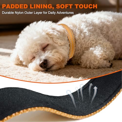 Taglory Hundehalsband, Weich Gepolstertes Neopren Nylon Hunde Halsband für Welpen, Verstellbare und Reflektierend für das Training, Braun