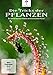 Produktbild Die Tricks der Pflanzen