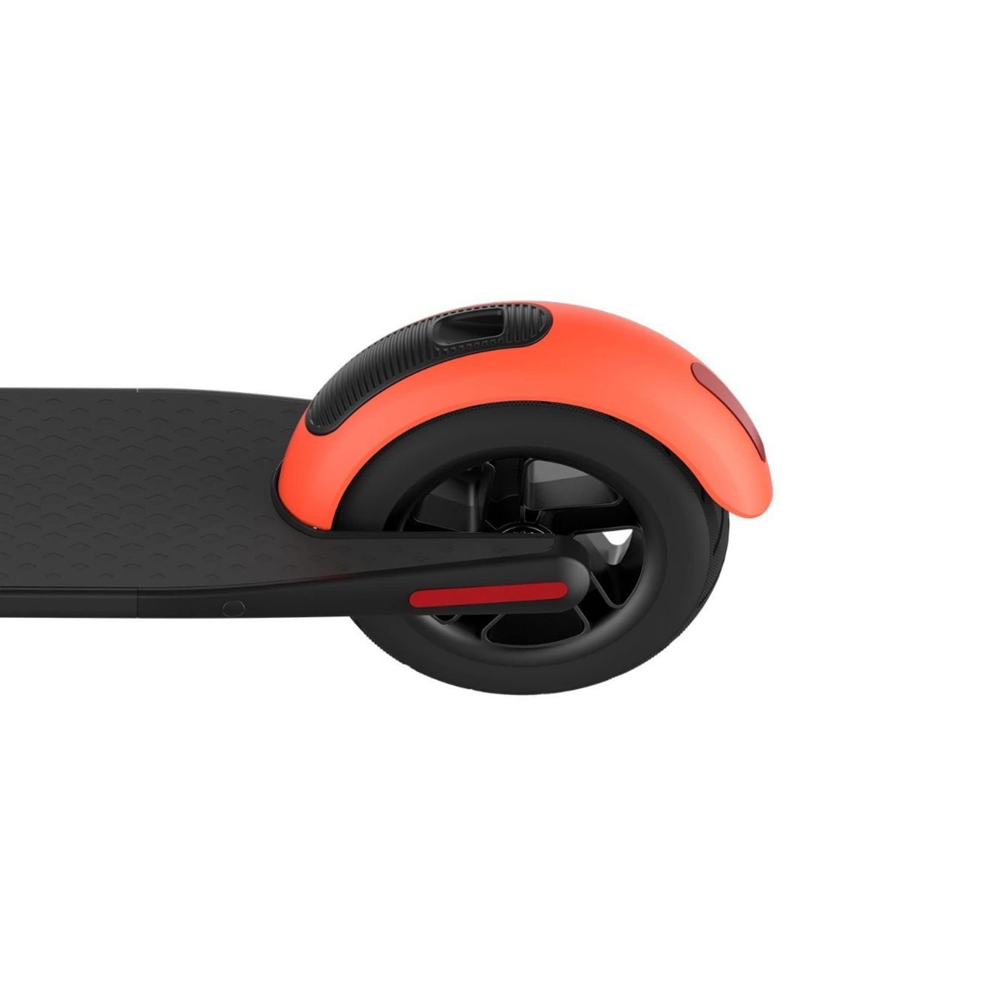 Segway Ninebot ES1L Electric Kick Scooter, Lightweight and Foldable