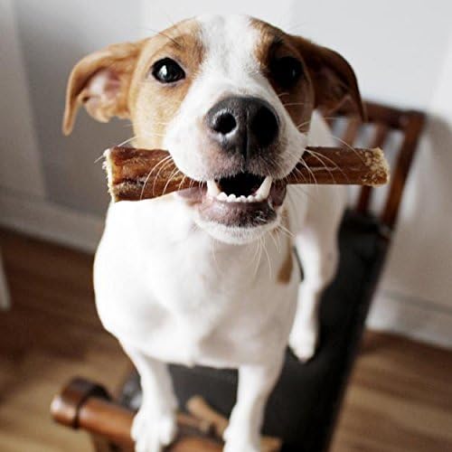 Pawstruck 5" Straight Bully Sticks for Dogs [X-LARGE THICKNESS] (25 Pack) - All Natural & Odorless Bully Bones | Long Lasting Chew Dental Treats | Best Thick Bullie Sticks for K9 or Puppies | Grass-Fed Beef