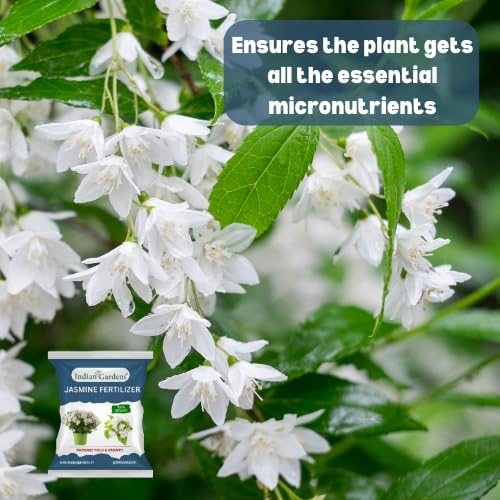 Image of Indian Gardens - Jasmine Organic Fertilizer | Plant Food For Flowering Plants | Flower Booster (5 Kg)