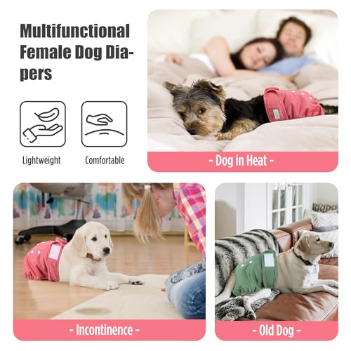 Image of wegreeco Female Dog Diapers, Washable Reusable Pet Puppy Doggie Diapers for Small Medium Large Female Dogs in Heat Period, Doggy Period Panties, 5 Pack, Small