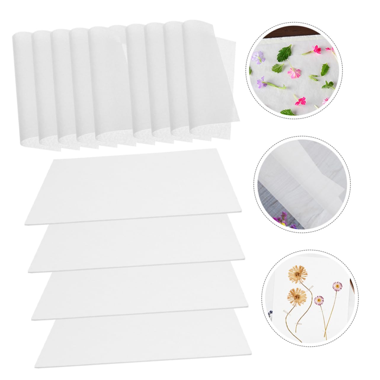 DIYEAH 5juegos Kit Profesional De De Flores De Para Secar Accesorios Para Manualidades Placas Resistentes y Papeles Secantes Para Tarjetas y Decoraciones