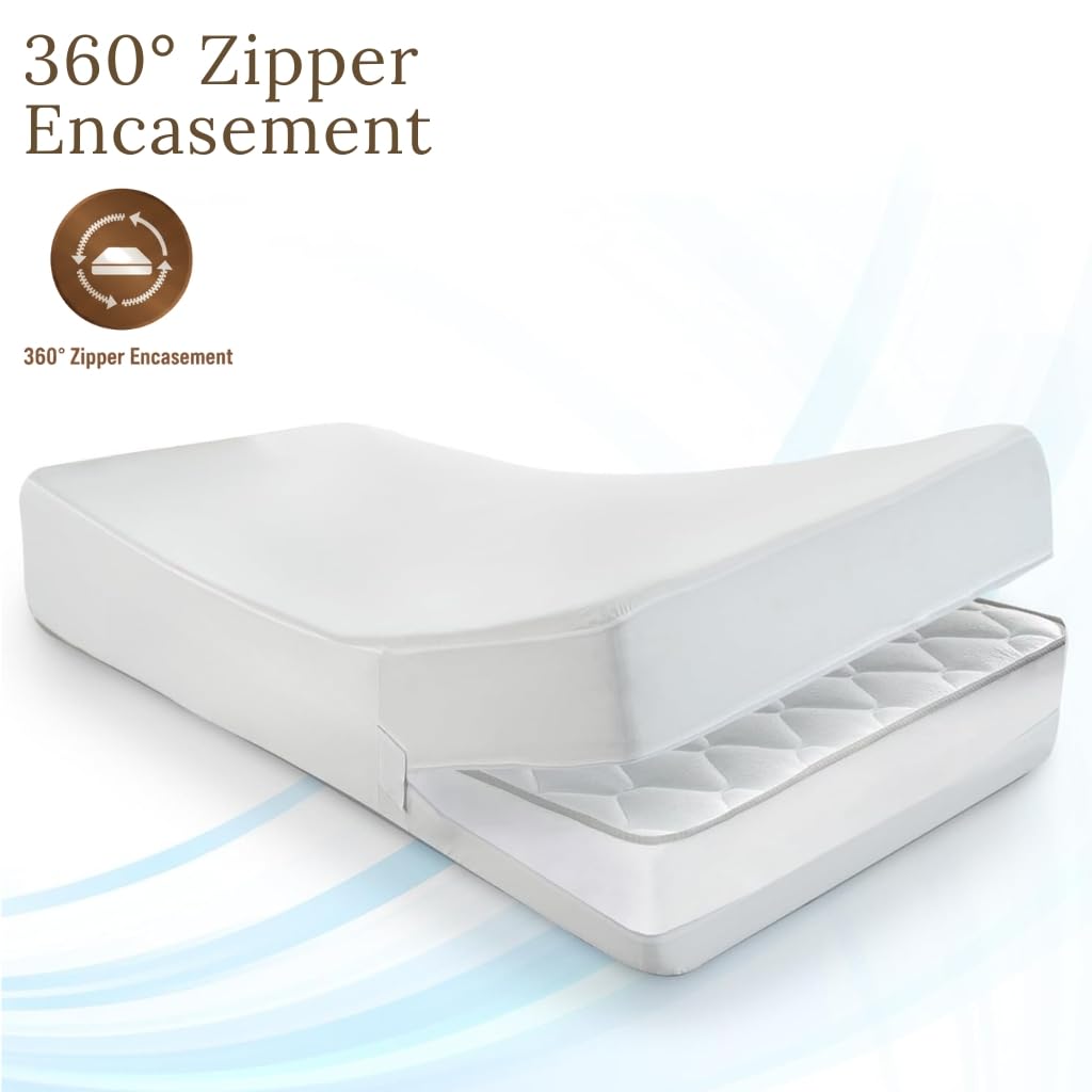 View 4