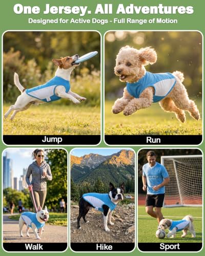 Image of CuteBone Cooling Stretch Sport Dog Tank - Athletic Fan Pet Jersey - Color Block Pet Vest for Small Dogs, Cats