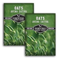 Oat Seeds for Planting