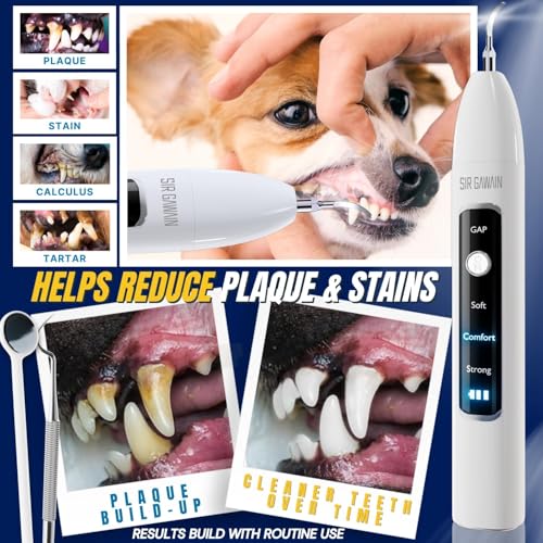 Image of SIRGAWAIN Pet Ultrasonic Dental Cleaner - Complete Cleaning Kit for Dogs & Cats (BJHUY2)
