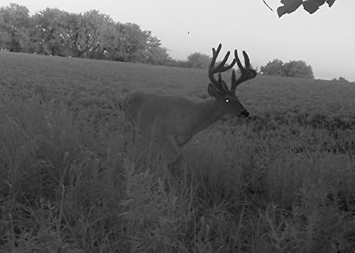 Stealth Cam PX12