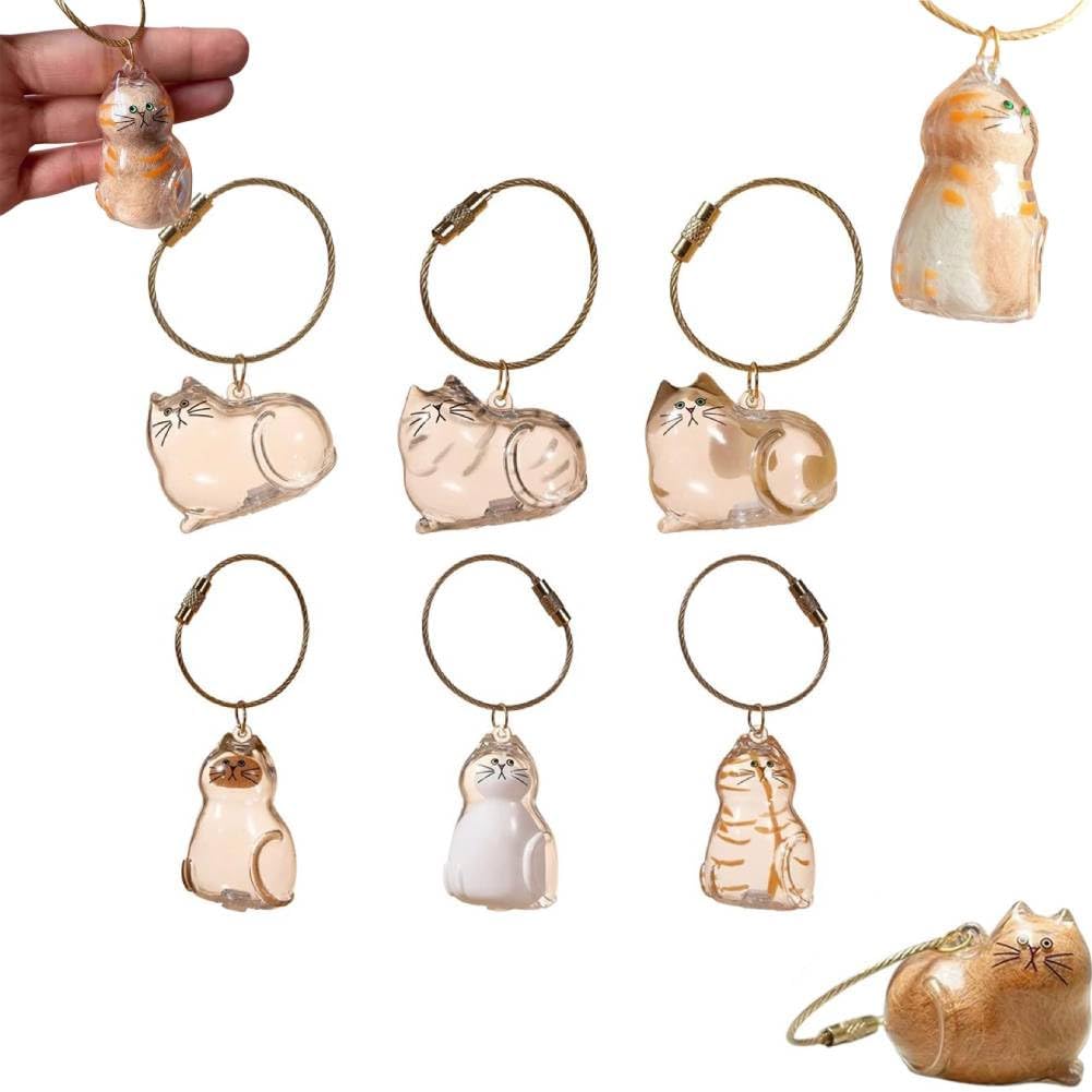 EHOTER Cat Hair Storage Bottle Keychain for Collecting Cat and Dog Hair Cat Hair Storage Capsules Transparent Cats Hairs Storage Bottle Cute Pet Memorial Gifts for Cats Lover (Mixed)