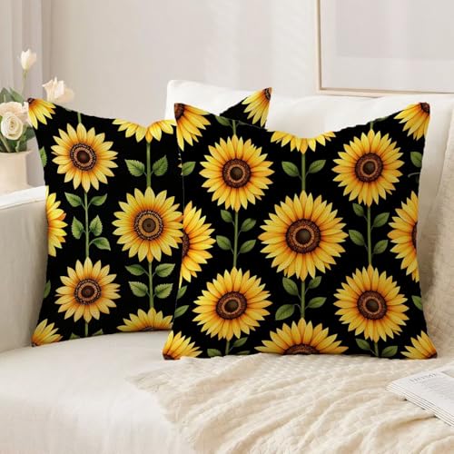 Housse coussin 70x70cm lot de 2 imperméable pour patio et balcon
