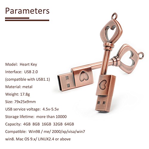 Image of LEIZHAN USB Flash Drive 32GB Metal Key of Love Key Chain USB Flash Drive high Speed USB 2.0 Pen Drive Memory Stick u Disk pendrive