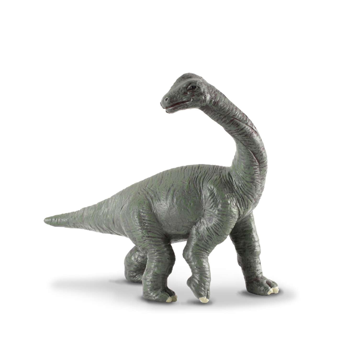 CollectA Brachiosaurus Baby