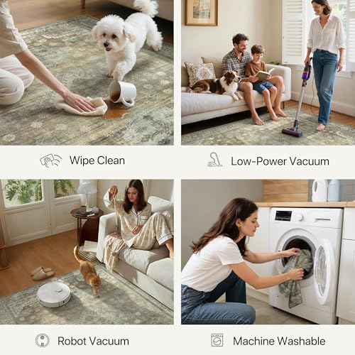 Area Rugs 6x9 for Living Room Bedroom, Modern Boho Machine Washable Large Distressed Light Greyish Sage Green Rug, Low Pile Floor Carpet with Non Slip Backing for Dining Room